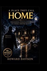 Produktbild: A place they call home