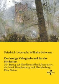 Produktbild: Der heutige Volksglaube und das alte Heidentum