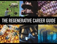 Produktbild: The Regenerative Career Guide