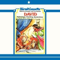 Produktbild: David - Psalmens&auml;nger, Fl&uuml;chtling, Bandenf&uuml;hrer