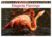 Produktbild: Elegante Flamingo (Tischkalender 2026 DIN A5 quer), CALVENDO Monatskalender
