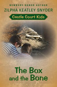 Produktbild: The Box and the Bone