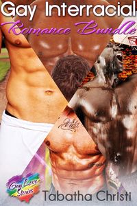 Produktbild: Gay Interracial Romance Bundle