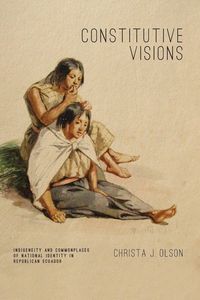 Produktbild: Constitutive Visions