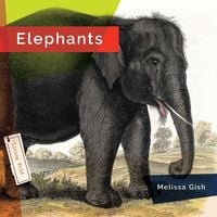 Produktbild: Elephants