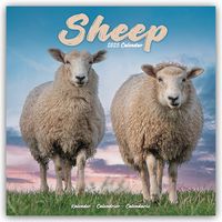 Produktbild: Sheep &ndash; Schafe 2025 &ndash; 16-Monatskalender
