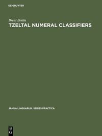 Produktbild: Tzeltal numeral classifiers