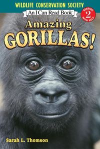 Produktbild: Amazing Gorillas!