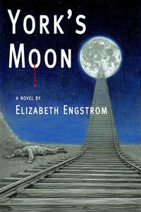 Produktbild: York's Moon