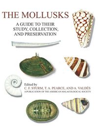 Produktbild: The Mollusks