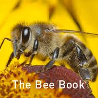 Produktbild: Nature Book Series: The Bee Book