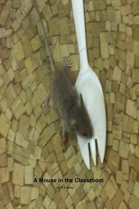 Produktbild: A Mouse in the Classroom