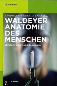 Bild vom Artikel Anatomie des Menschen vom Autor Anton Waldeyer