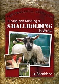 Produktbild: The Practical Guide to Buying and Running a Smallholding in Wales