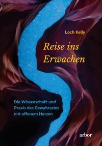 Produktbild: Reise ins Erwachen