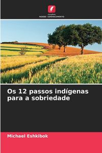 Produktbild: Os 12 passos ind&iacute;genas para a sobriedade