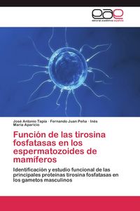 Produktbild: Funci&oacute;n de las tirosina fosfatasas en los espermatozoides de mam&iacute;feros