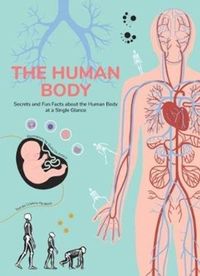 Produktbild: Human Body