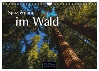 Produktbild: Spaziergang im Wald (Wandkalender 2026 DIN A4 quer), CALVENDO Monatskalender