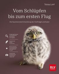 Produktbild: Vom Schl&uuml;pfen bis zum ersten Flug