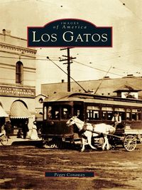 Produktbild: Los Gatos