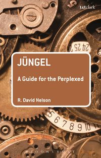 Produktbild: J&uuml;ngel: A Guide for the Perplexed