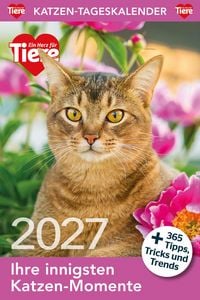 Produktbild: Katzen Tageskalender 2027