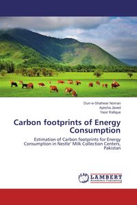 Produktbild: Carbon footprints of Energy Consumption