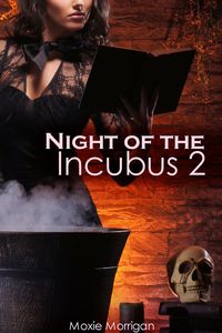 Produktbild: Night of the Incubus 2