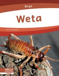 Produktbild: Weta