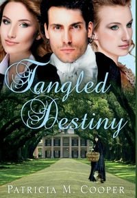 Produktbild: Tangled Destiny