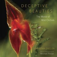 Produktbild: Deceptive Beauties