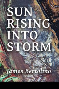 Produktbild: Sun Rising into Storm
