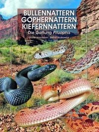 Produktbild: Bullennattern, Gophernattern und Kiefernnattern
