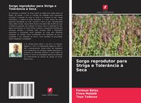Produktbild: Sorgo reprodutor para Striga e Toler&acirc;ncia &agrave; Seca
