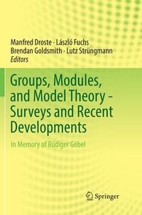Produktbild: Groups, Modules, and Model Theory - Surveys and Recent Developments