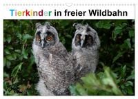 Produktbild: Tierkinder in freier Wildbahn (Wandkalender 2027 DIN A3 quer), CALVENDO Monatskalender