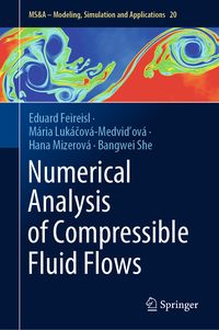 Produktbild: Numerical Analysis of Compressible Fluid Flows