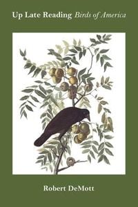 Produktbild: Up Late Reading Birds of America