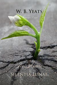 Produktbild: Per Amica Silentia Lunae