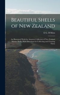 Produktbild: Beautiful Shells of New Zealand