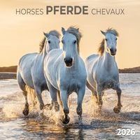 Produktbild: Pferde/Horses 2026