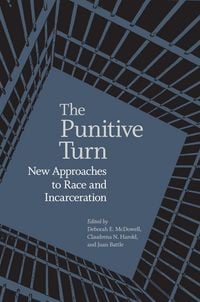 Produktbild: The Punitive Turn