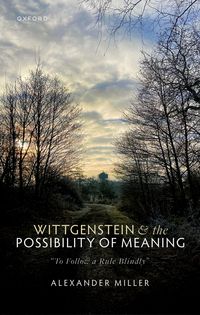 Produktbild: Wittgenstein and the Possibility of Meaning