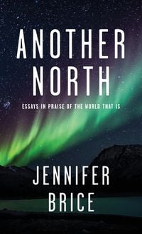 Produktbild: Another North