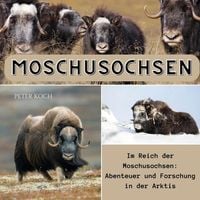 Produktbild: Moschusochsen