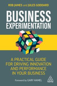 Produktbild: Business Experimentation