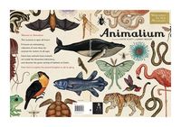 Produktbild: Broom, J: Animalium