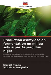 Produktbild: Production d'amylase en fermentation en milieu solide par Aspergillus niger