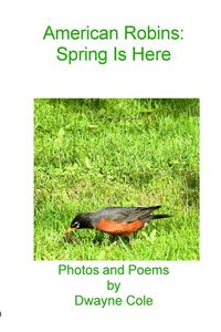 Produktbild: American Robins